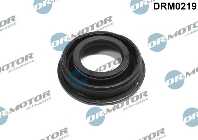 Etansare, Suport Injector 243952 DRM0219 foto