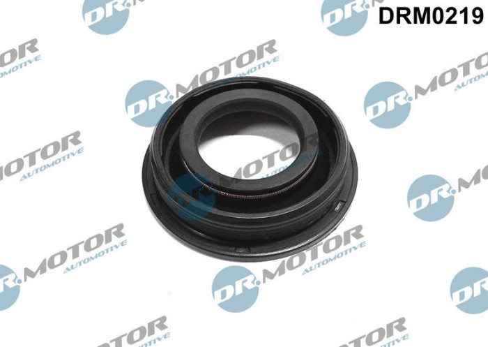 Etansare, Suport Injector 243952 DRM0219
