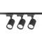 icon 12