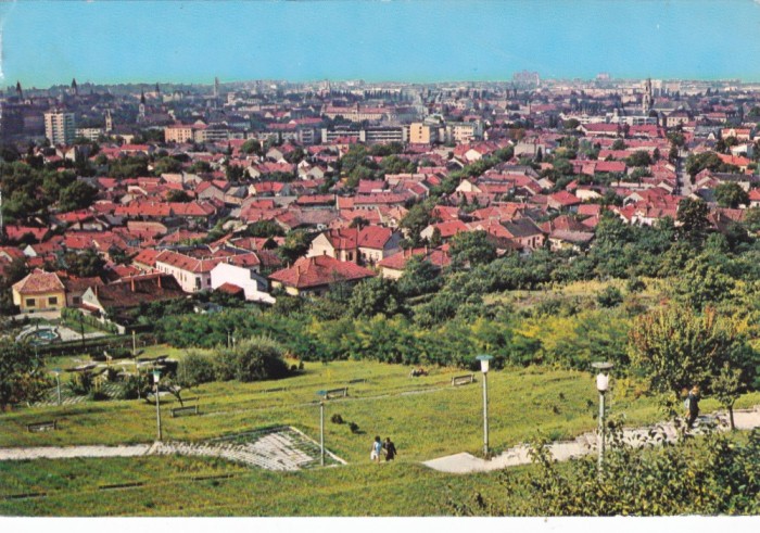 AMS - ILUSTRATA 1085, ORADEA - VEDERE DE PE DEALUL VIILOR, CIRCULATA