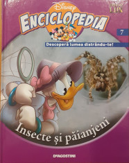 Insecte si paianjeni. Disney Enciclopedia 7 foto