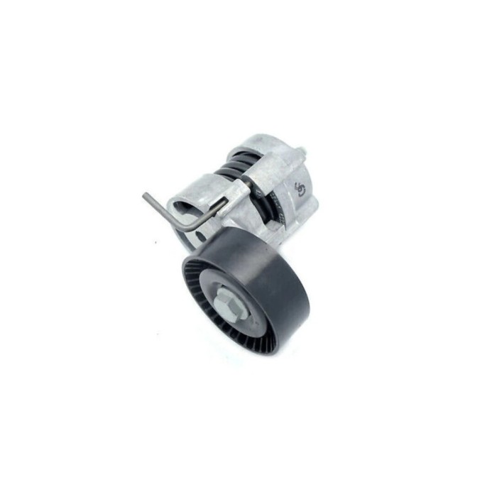 Intinzator curea BMW 3 Touring E91 DAYCO APV2674