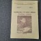 Matematica in ciclul primar- CONTRIBUTII METODICE Stefanescu Vasile, Petru ANGHE