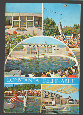 CPIB 19258 CARTE POSTALA - CONSTANTA. DELFINARIU, MOZAIC foto