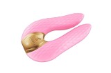 Vibrator Clitoridian Aiko, Roz