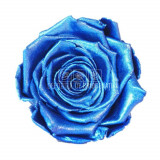 Trandafiri Criogenati XL METALLIC DEEP BLUE (&Oslash;6-6,5cm, 6 buc)