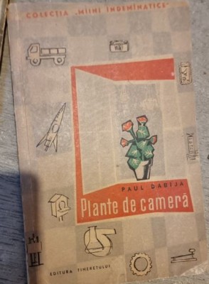 Paul Dabija - Plante de Camera foto