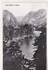 bnk cp Valea Oltului la Cozia - Vedere - uzata
