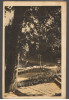 CPIB 21213 CARTE POSTALA - VEDERE - PARCUL SNAGOV, FOTO: C. SAVULESCU, Circulata, Printata