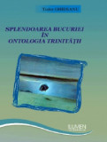 Splendoarea bucuriei in ontologia trinitatii - Tudor GHIDEANU