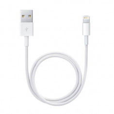 Adaptor Apple Lightning to USB Alb foto