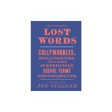 The Little Book of Lost Words: Collywobbles, Snollygosters, and 87 Other Surprisingly Useful Terms Worth Resurrecting