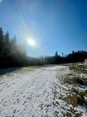 V&amp;acirc;nd teren extravilan - Chiuruș foto