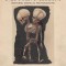 Mutter Museum Historic Medical Photographs: The College of Physicians of Philadelphia