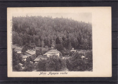 MANASTIREA AGAPIA VECHE (MOLDOVA) VEDERE GENERALA CLASICA foto