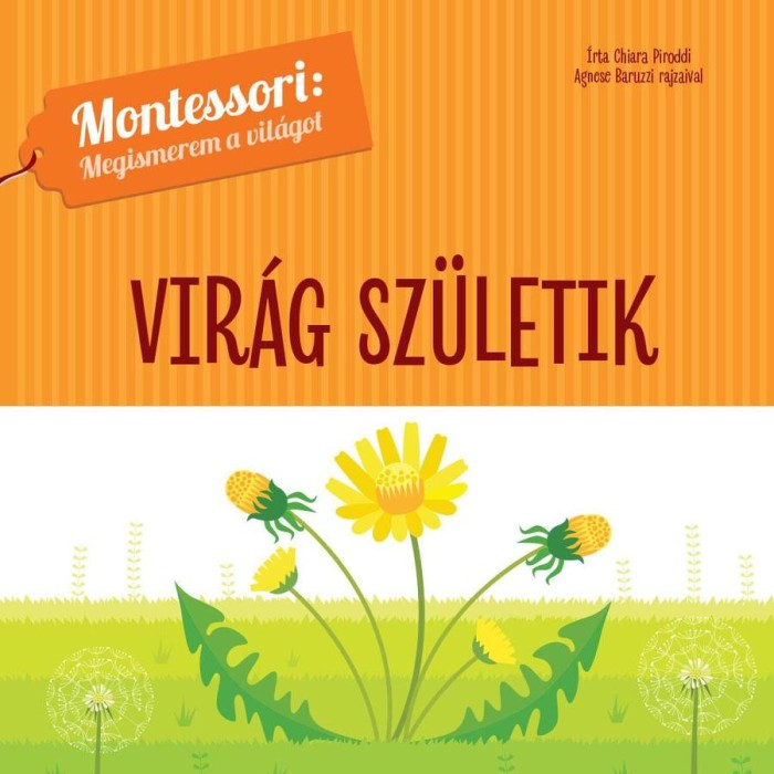 Vir&aacute;g sz&uuml;letik - Montessori: Megismerem a vil&aacute;got - Chiara Piroddi
