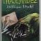 CALUL THAILANDEZ de WILLIAM DIEHL , 1995