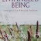 Entangled Being: Unoriginal Sin and Wicked Problems