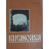 RUGINOASA-BORIS BRACIUN-222910