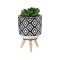Ghiveci decorativ cu planta artificiala, Verde, 14 cm, ATU-085513