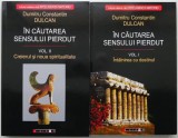 In cautarea sensului pierdut (2 vol.) - Dumitru Constantin Dulcan - Spiritualitate si Ezoterism