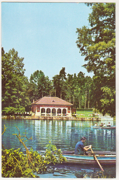 bnk cp Craiova - Vedere din Parcul poporului - necirculata