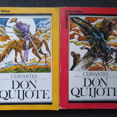 DON QUIJOTE - Cervantes (2 volume)