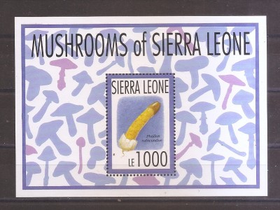Sierra Leone 1993 - Ciuperci (colita ), MNH foto