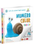 Cumpara ieftin NumeroColor &bull; Initiat