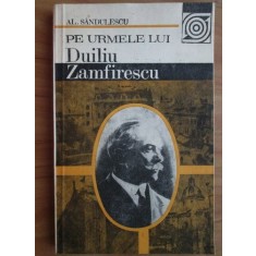 Al. Sandulescu - Pe urmele lui Duiliu Zamfirescu
