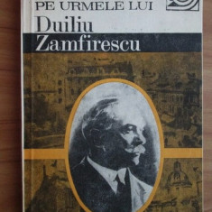 Al. Sandulescu - Pe urmele lui Duiliu Zamfirescu