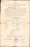 A1988 Certificat școlar, 1912, S&acirc;ntana, județul Arad, pentru un elev din Ineu