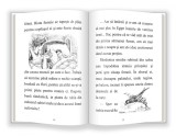 Printul fericit | Oscar Wilde, Gama