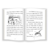 Printul fericit | Oscar Wilde