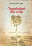 Cumpara ieftin Trandafirul din nisip Adrian Bocsan, Editura Ion Creanga 1988, brosata, Literatura Romana clasica, carte beletr