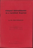 C870 C&acirc;mpul hidrodinamic la o turbină Kaplan + Contribuțiuni la determinarea numărului paletelor unei turbine hidraulice de Aurel Bărglăzan