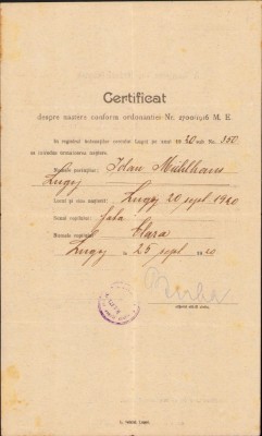 A1326 Certificat despre naștere, 1920, Lugoj foto
