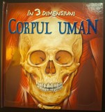 Corpul uman 3D