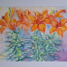 Pictura in acuarela neinramata - flori de crini portocalii, nesemnata, 17x24 cm