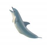 Figurina - Sea Life - Dolphin | Safari