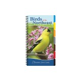 Birds of the Northeast Quick Guide