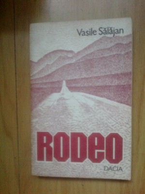 n3 RODEO - VASILE SALAJEAN foto