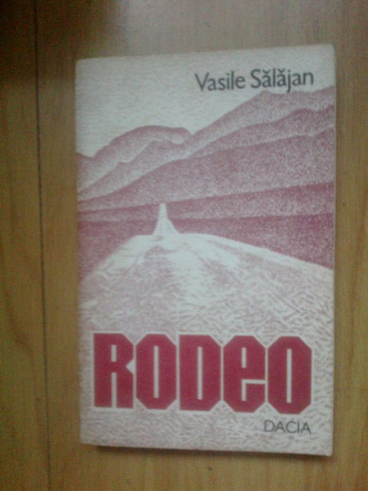 n3 RODEO - VASILE SALAJEAN