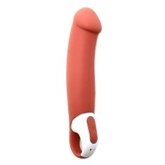 Satisfyer Vibes Master - Vibrator Punct G, 23.5x4.4 cm