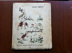 ELENA FARAGO 4 GAZE NAZDRAVANE desene sorin ionescu ed. ramuri dor de carte 1944 foto