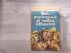 Noi,profesorul si valiza albastra de Rodica Moldoveanu