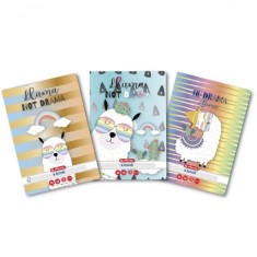 Caiet matematica cu colturi rotunjite A5,48 file,70g mp,model Llama