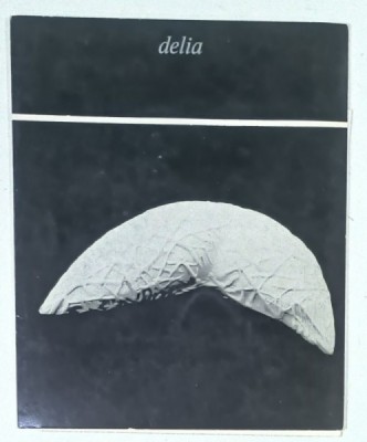 DELIA PRVACKI , CATALOG DE EXPOZITIE , CERAMICA , TEXT IN LIMBA SARBA , 1986 foto
