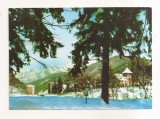 RF150 - Carte Postala - Caciulata. Peisaj de iarna, circulata 1987
