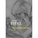 Femeie, iata fiul tau - Sorin Titel